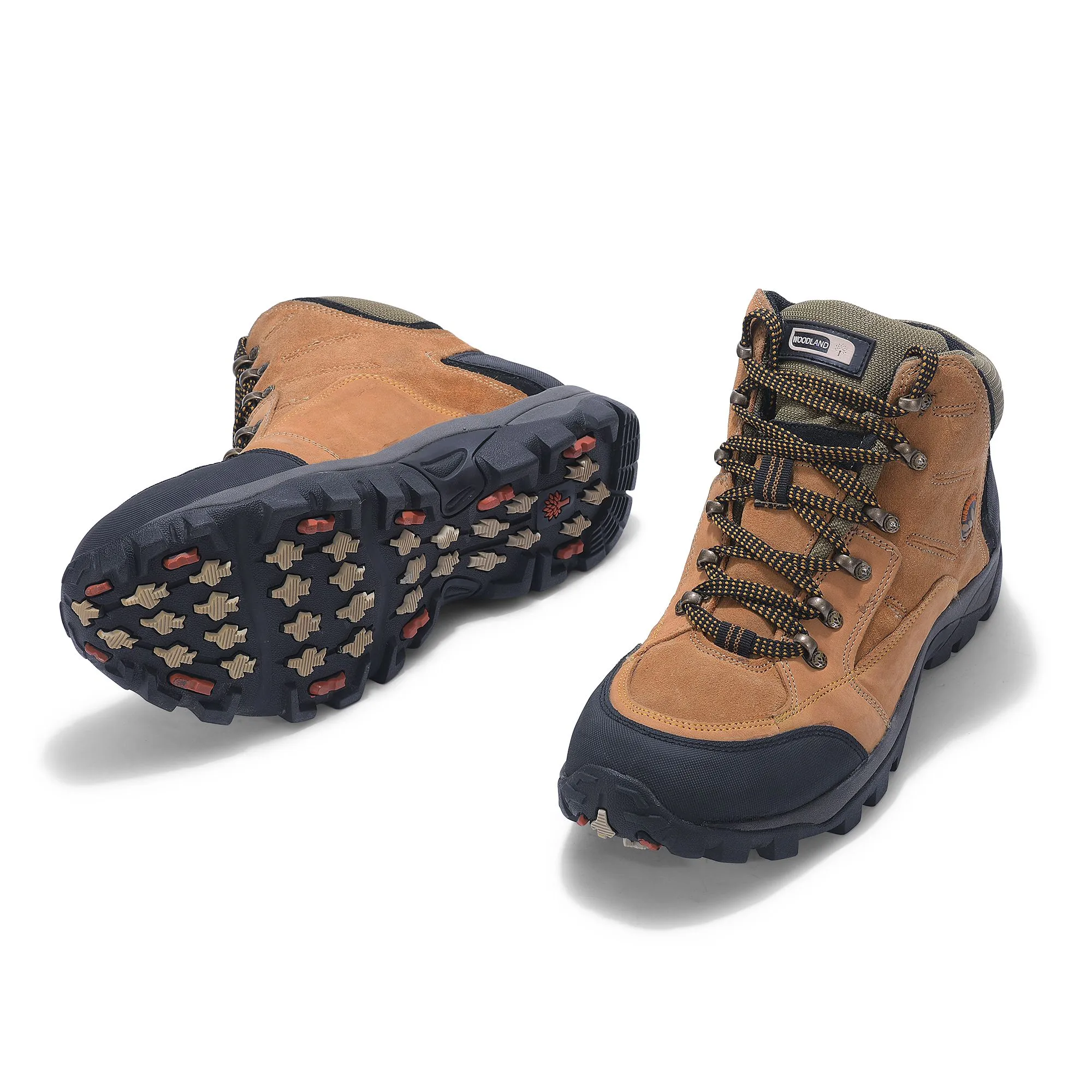 Excursion NTAN - Thumbnail 4