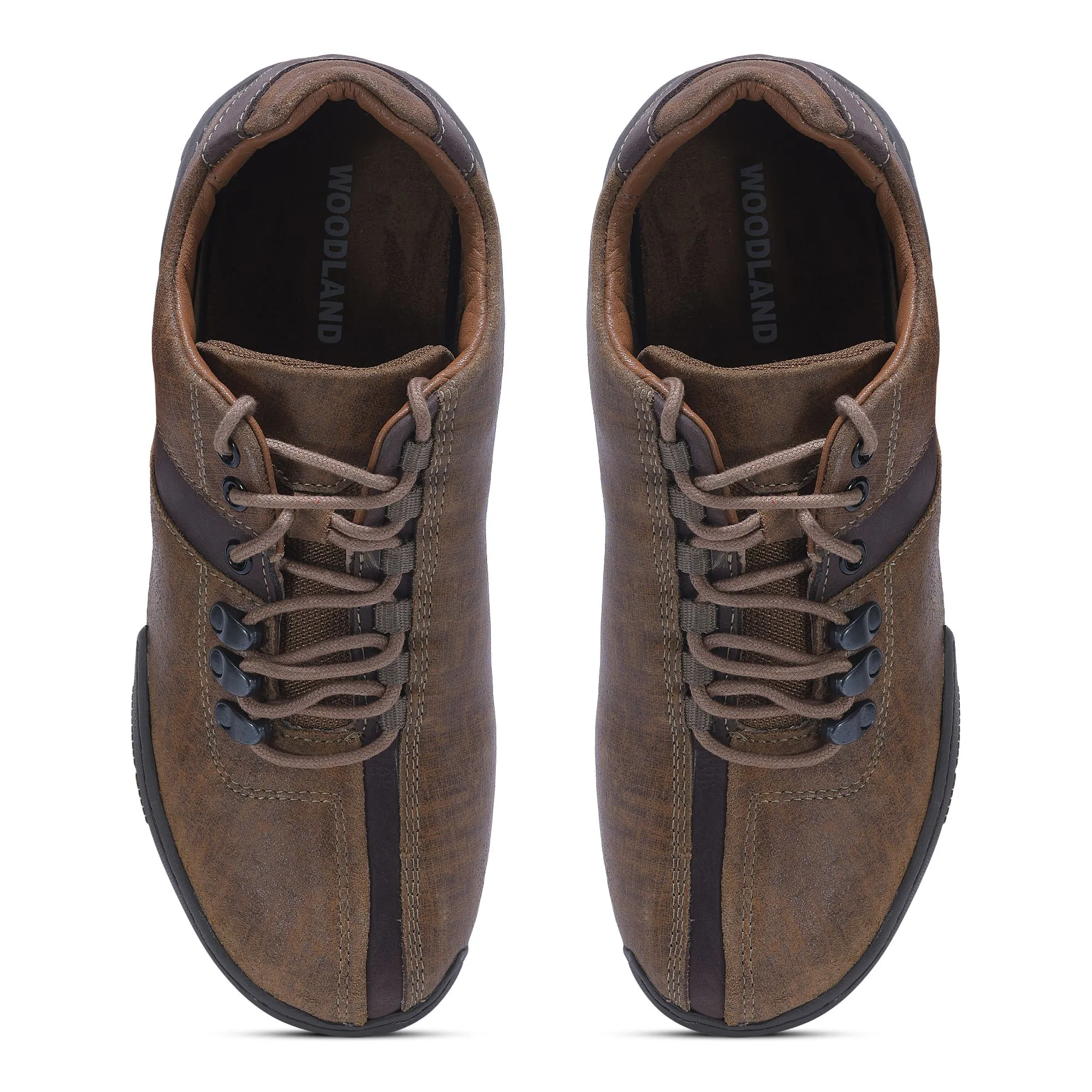 Suburban CAMEL - Thumbnail 3