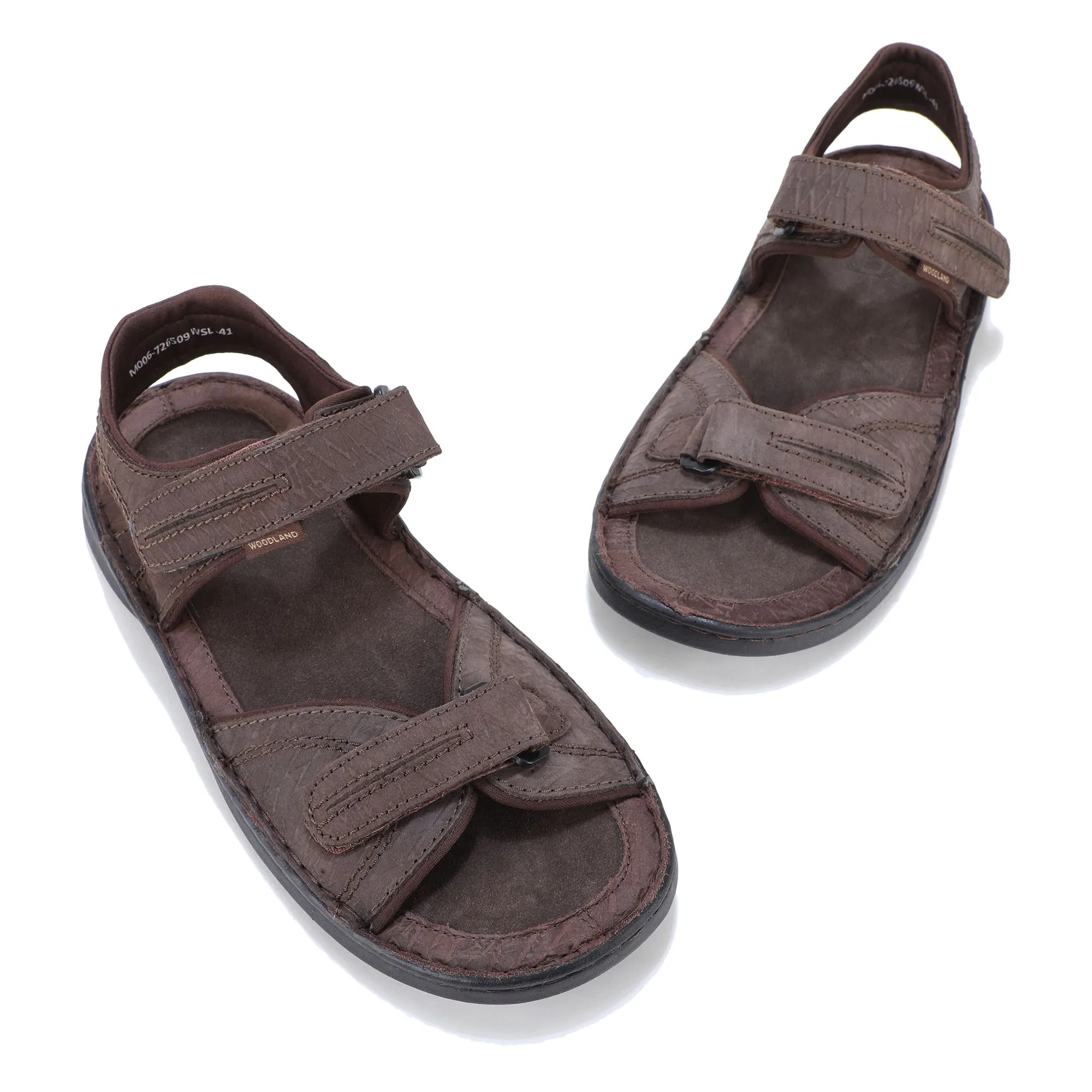 Thrill Seekers DBROWN - Thumbnail 2