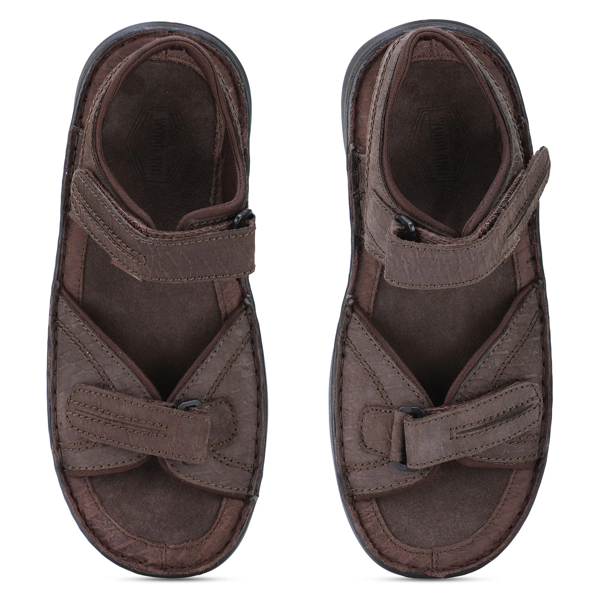 Thrill Seekers DBROWN - Thumbnail 3