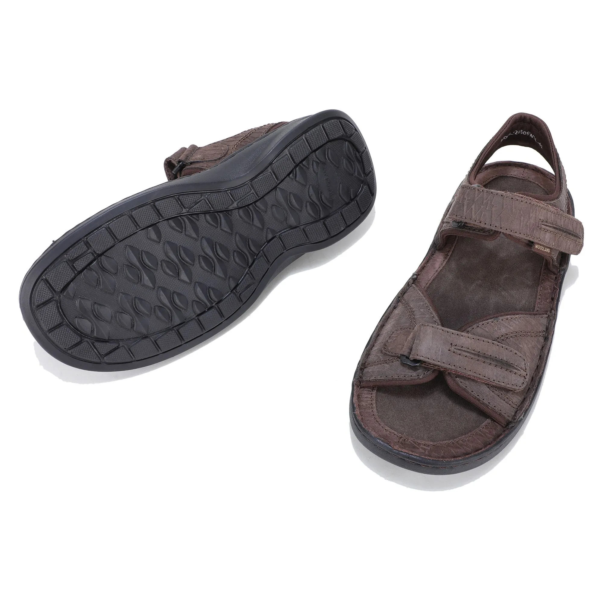 Thrill Seekers DBROWN - Thumbnail 4