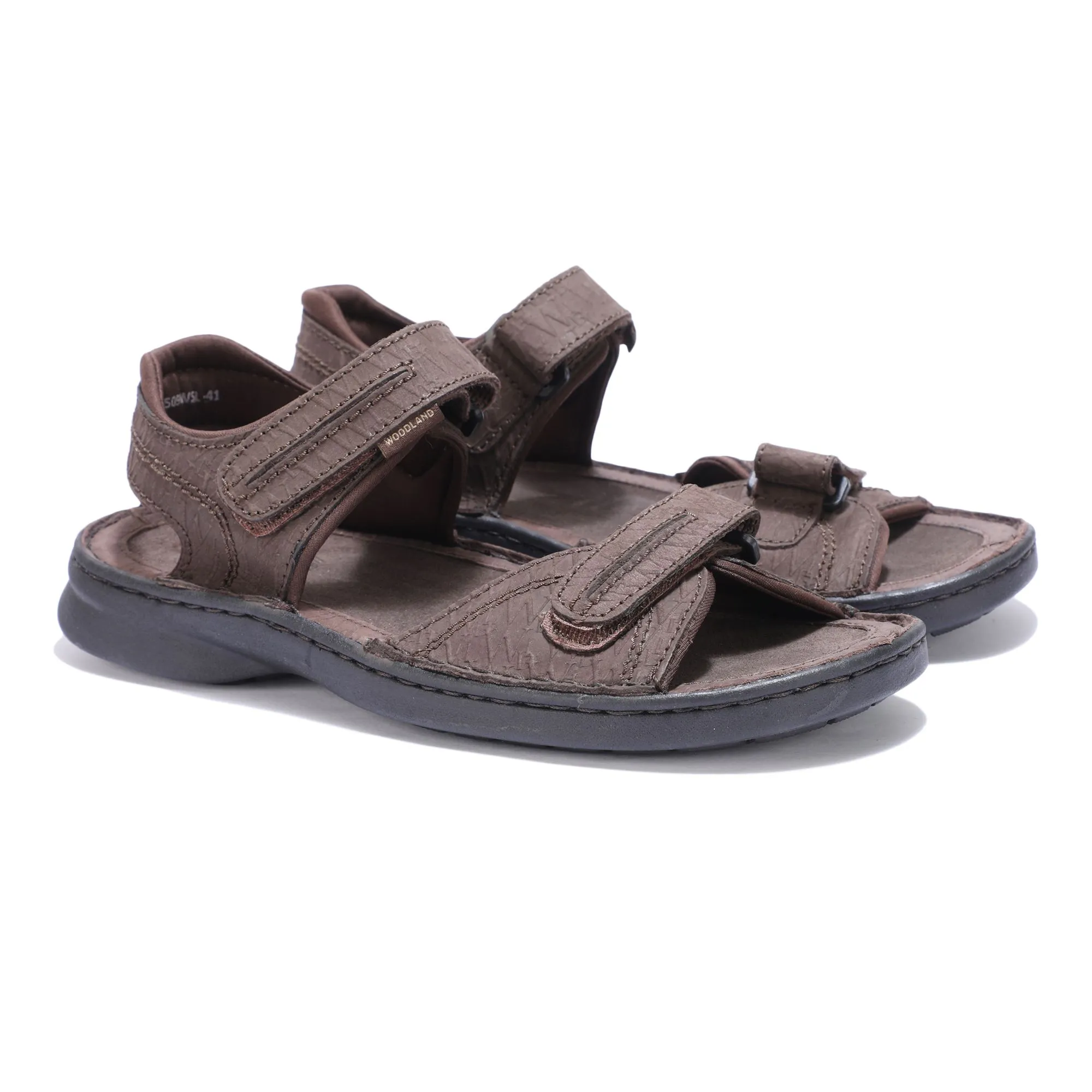 Thrill Seekers DBROWN - Thumbnail 6