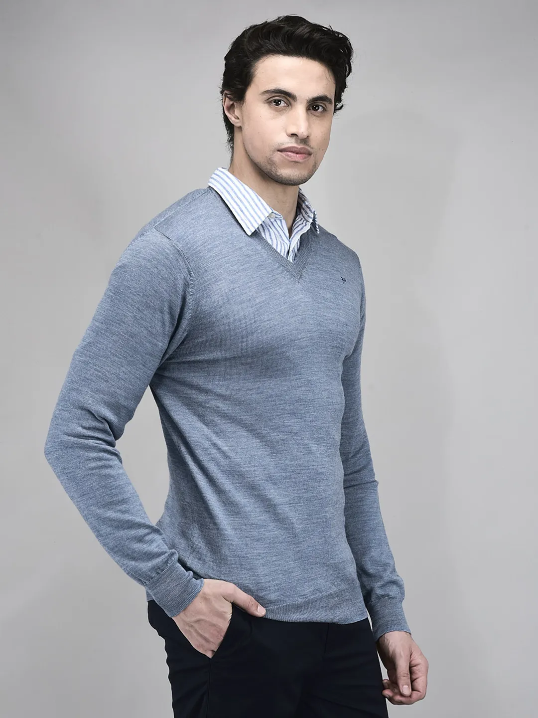 Woods SBlue V Neck Pullover For Men - Thumbnail 2