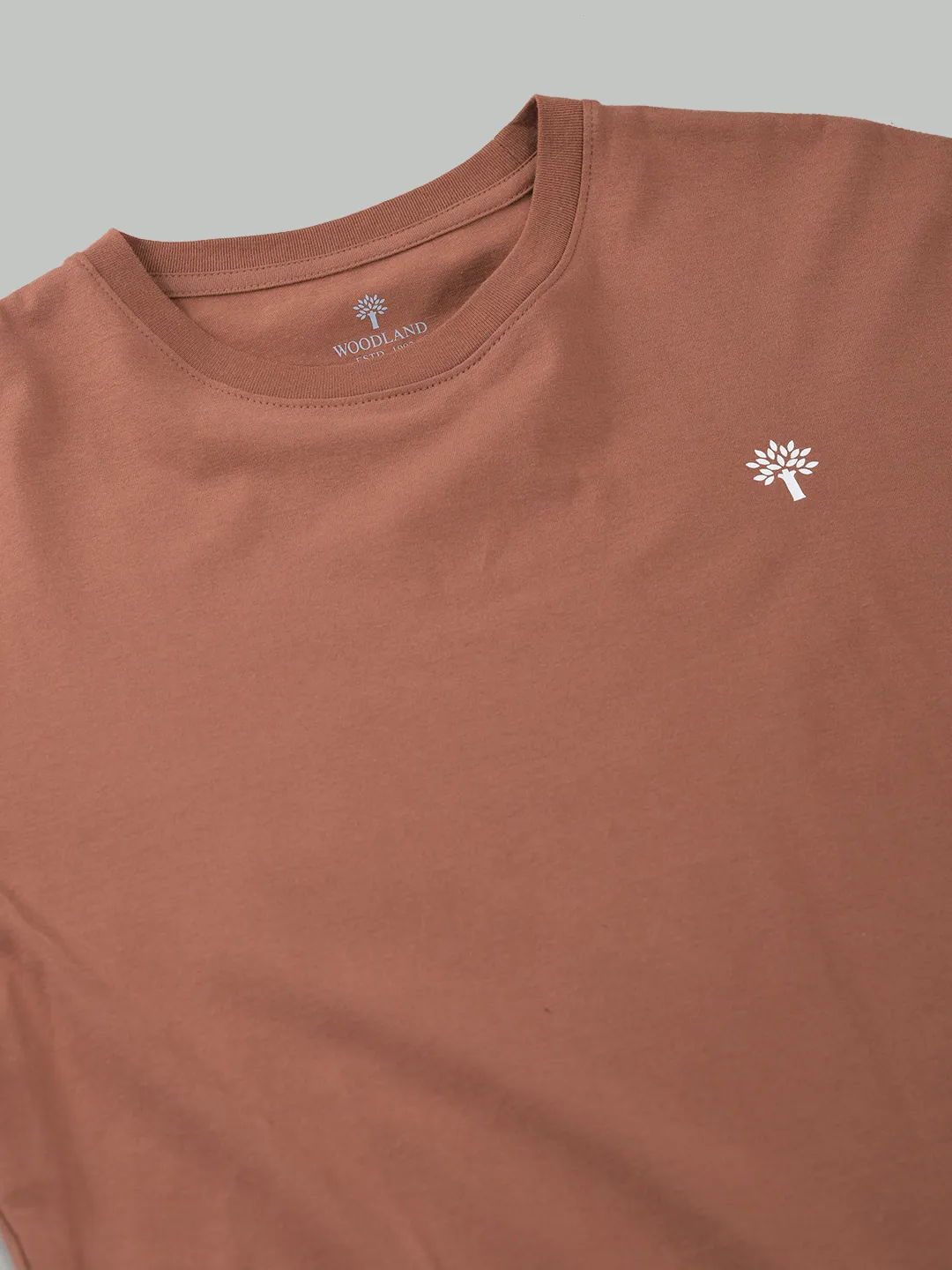 Men Rust Cotton Crew Neck T-Shirt - Thumbnail 5